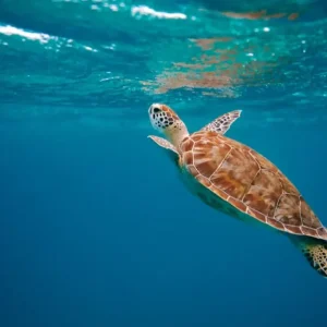 2c0a89db0cf4571e41848cd2e179856069157da4