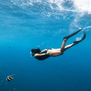 313248cff7151bd02b10a3520a18991172dfb32c