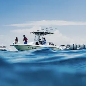 be3cc383712a4cffa5f6b554c605d0b4e3053cac