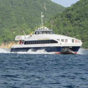 billet-enfant-2-11ans-les-saintes-terre-de-haut-au-depart-de-trois-rivieres-retour-15h45-ou-17h00-03_resultat
