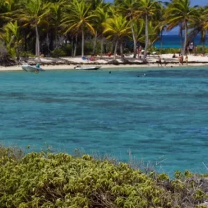 excursion-en-bateau-a-petite-terre-au-depart-de-saint-francois-05_resultat