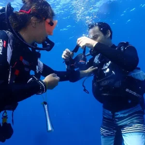 formation-tous-niveaux-de-plongee-07_resultat