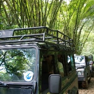 journee-dexploration-4×4-privatise-circuit-sud-ou-nord-basse-terre-6-personnes-03
