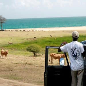 journee-dexploration-4×4-privatise-circuit-sud-ou-nord-basse-terre-6-personnes-05