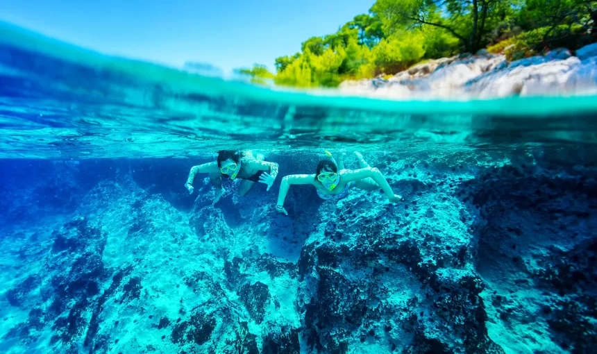 vacancesguadeloupe__active-diver-couple-2026-01-08-07-42-20-utc