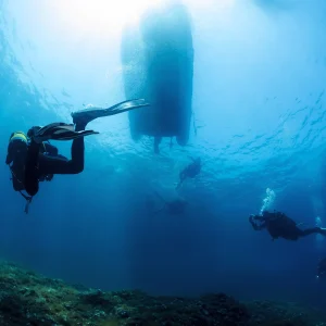 vacancesguadeloupe__group-of-people-are-scuba-diving-in-the-ocean-2026-01-08-22-27-57-utc