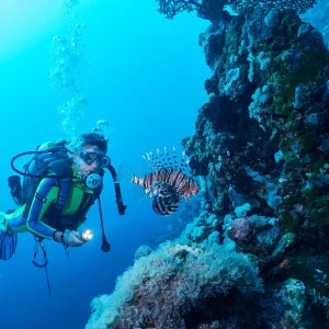 vacancesguadeloupe__lion-fish-and-scuba-diver-in-red-sea-marsa-alam-2026-03-18-17-34-33-utc