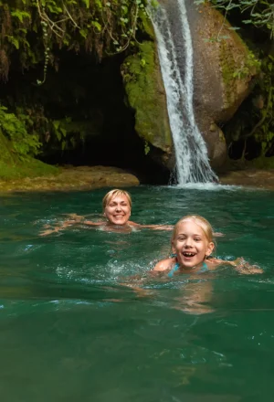 Basse-Terre : La Puissance de la Nature Sauvage