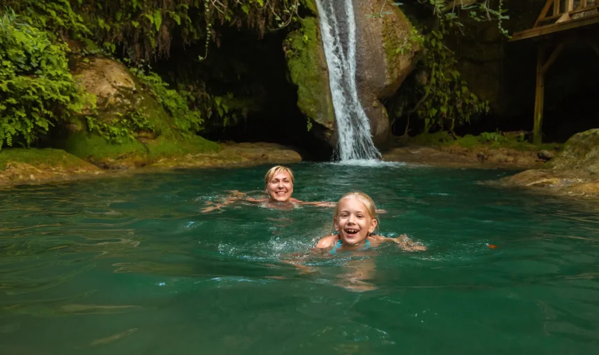 Basse-Terre : La Puissance de la Nature Sauvage