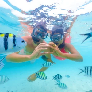 vacancesguadeloupe__snorkeling-trip-at-samaesan-thailand-dive-underwat-2026-03-17-00-04-41-utc