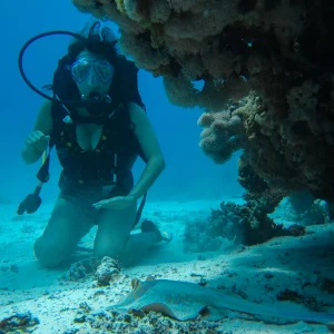 vacancesguadeloupe__young-woman-on-the-seafloor-trying-to-pat-a-small-2026-01-11-08-32-41-utc