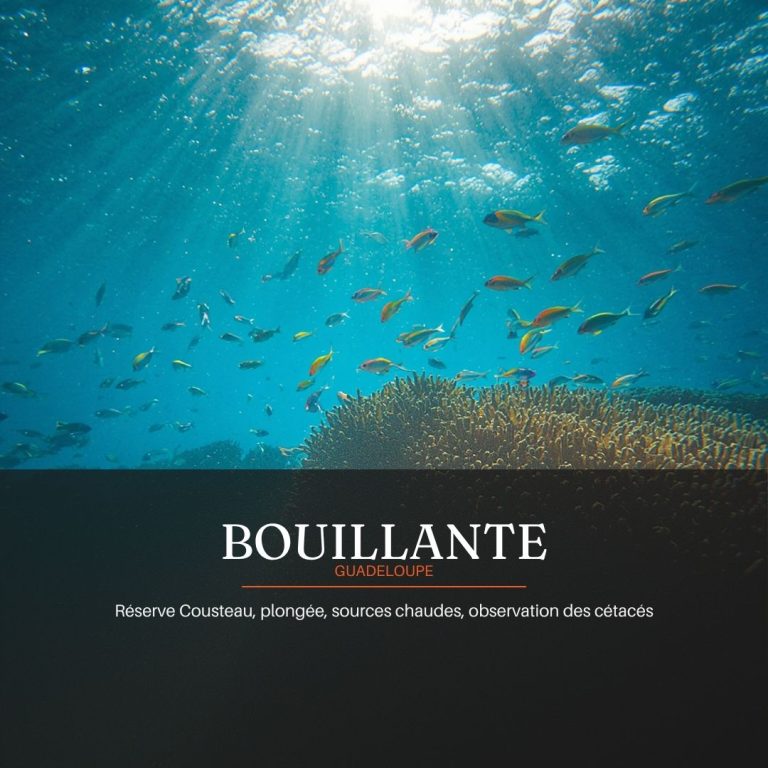 Bouillante
